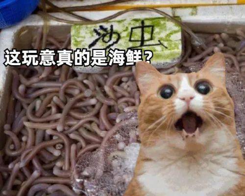 當北方貓貓第一次見到南方海鮮時...... 萌趣萌寵 第2张