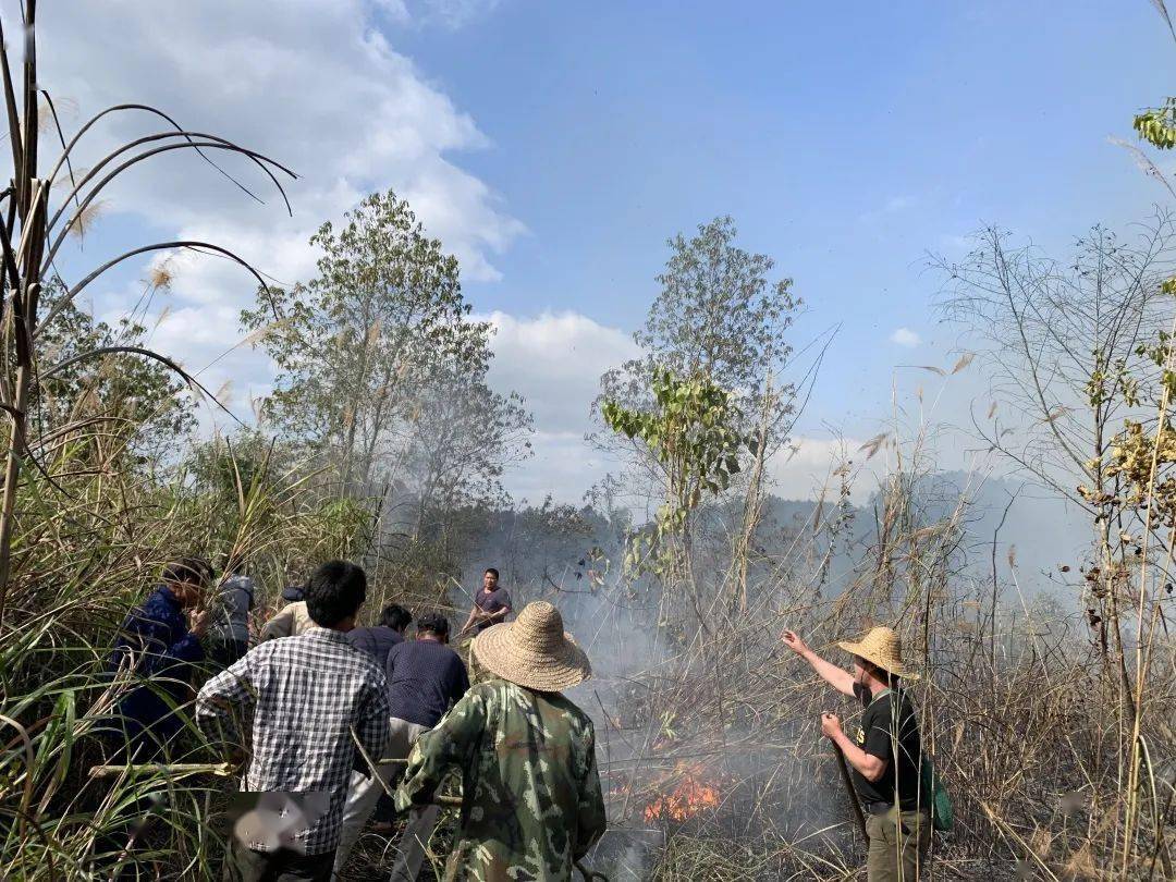 那良人口_人口普查(3)