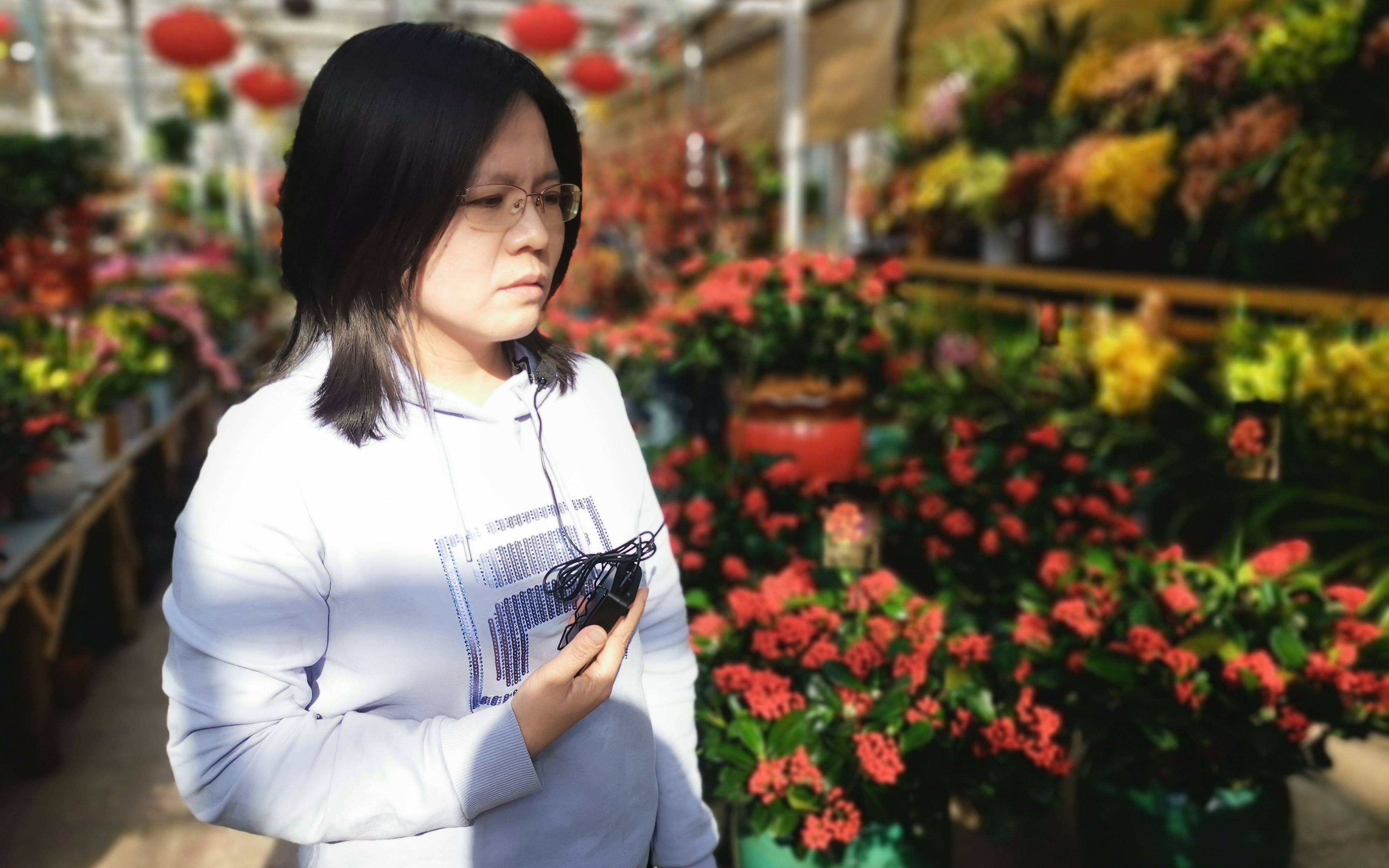 蝴蝶兰 植物界的拟态大师为何成了明星年宵花 兰花中