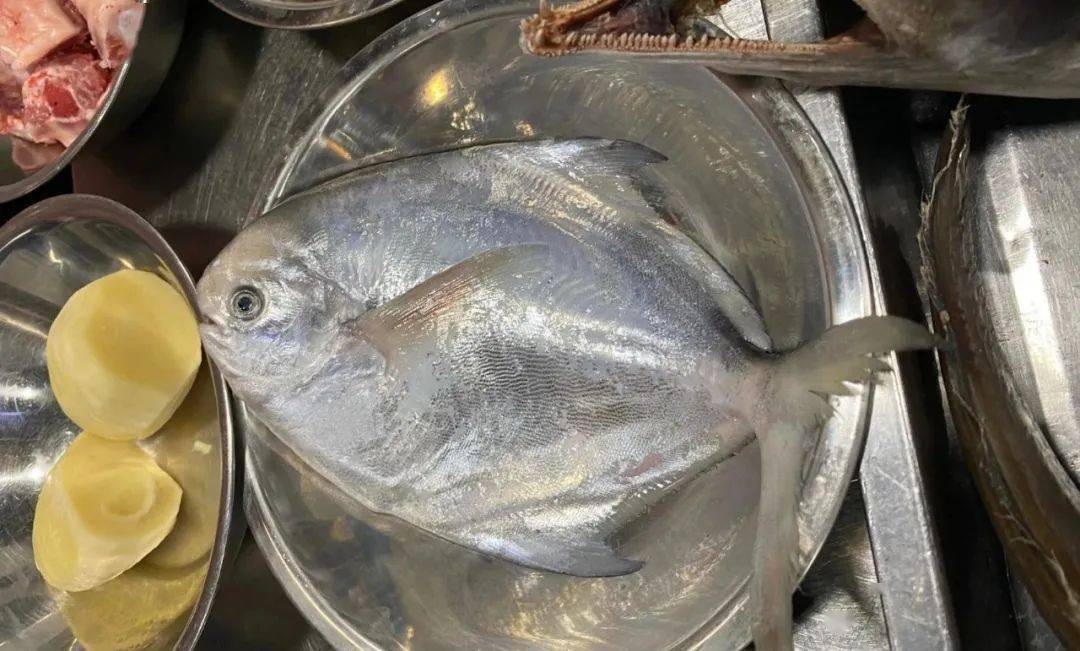 拜年喽 | 讲大道邀您一起团圆过除夕 共赏宁波味_鲳鱼