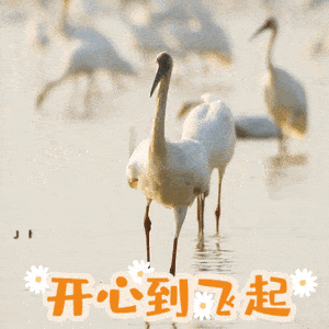 恭鹤新禧这才是江西人的贺岁表情包