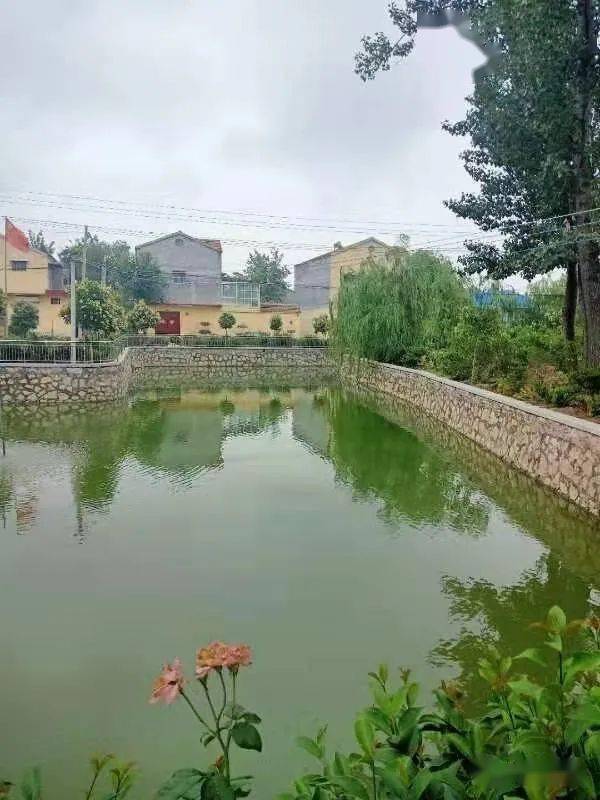 田庄镇栾官屯村美丽庭院掠影