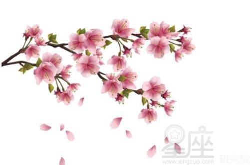 桃花贵人口诀_桃花贵人纹