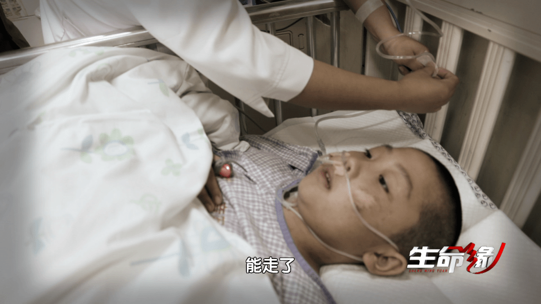 生命缘今日2108分播出春节特别节目温暖回眸