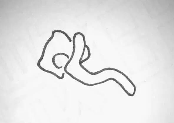 通过睡姿看性格