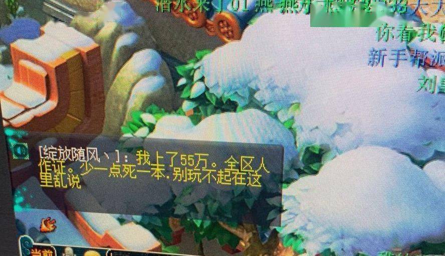 梦幻西游土豪玩家排行_梦幻西游:土豪斥资百万拿下春心萌动冠军,直播领取奖励惊艳四座
