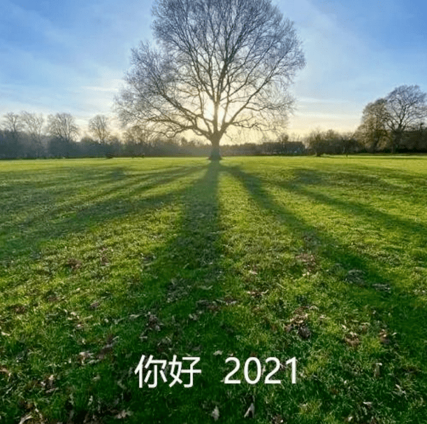 2021 新年第一缕阳光,会带来好运!