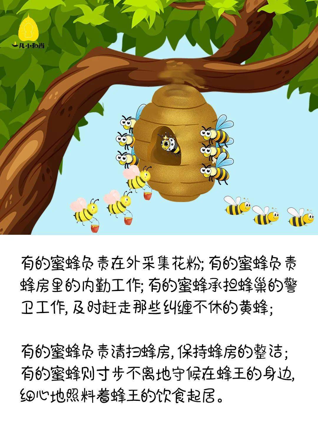 af9aa4d9266f41ef9178e2f858d7ec01.jpeg