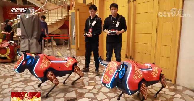 舞台|【春晚揭秘】创意表演《牛起来》尽显“牛”才华 展示“牛”颜值