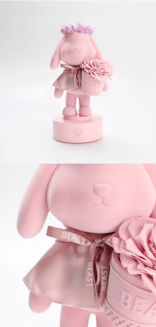 来自小红书2021情人节以你熟悉的姿势让兔子替你告白关注"野兽派"服