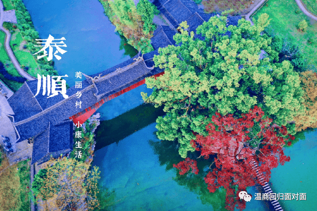 泗溪镇gdp_泰顺县泗溪镇玉溪饭店