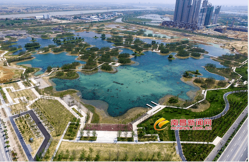 溼地公園魚尾洲公園瑤湖郊野森林公園九龍湖真趣園週末帶上家人到公園