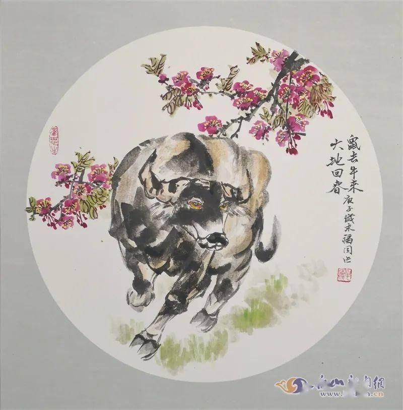 农历鼠年,牛年交替之际,乐山田园画家毛福同创作出了30幅生肖牛国画