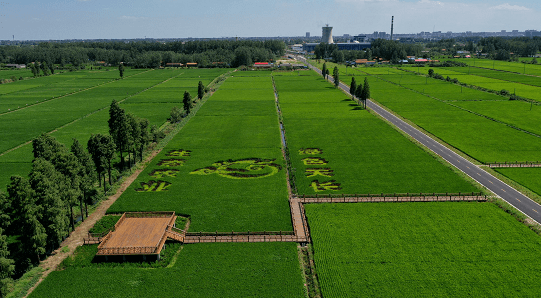 2020天长市经济总量_天长市地图