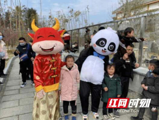 凤凰：春节期间熊猫苑亲子游火热 与国宝共享亲子时光