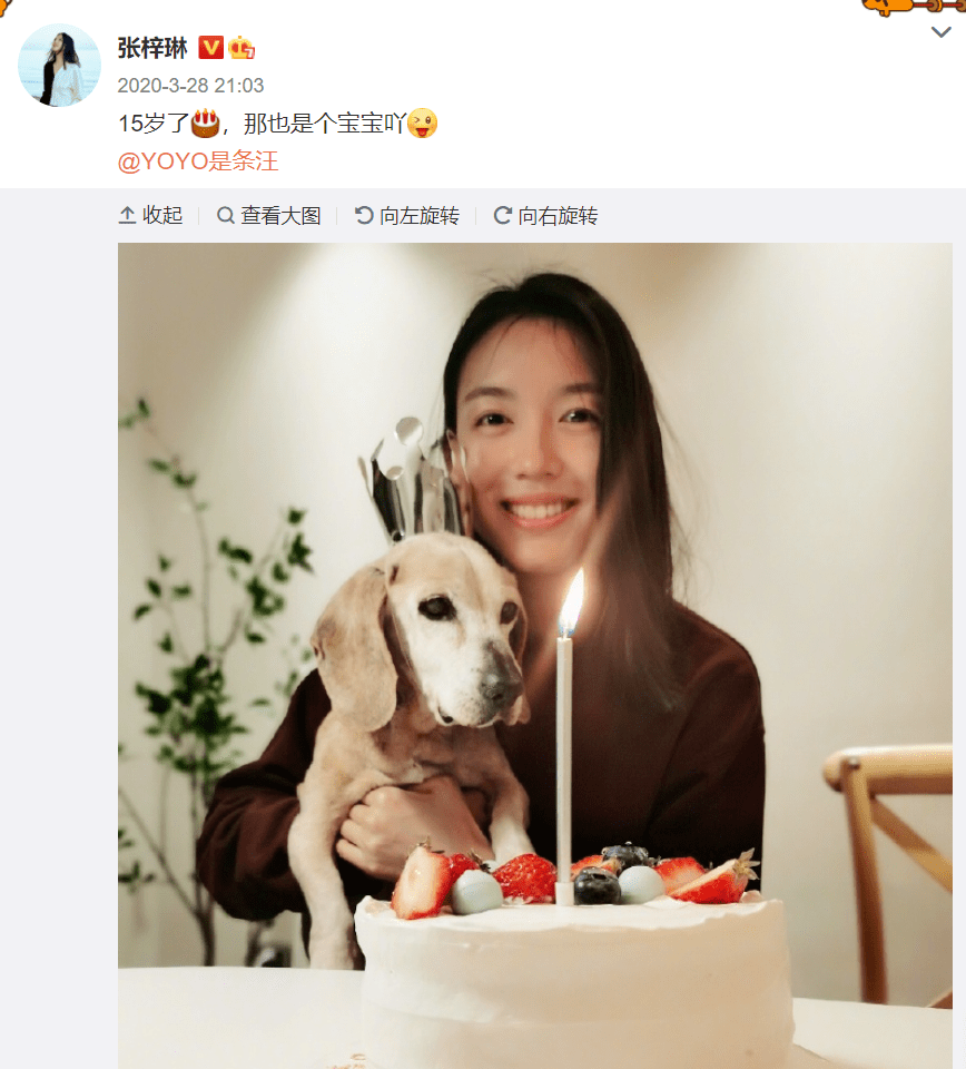 怀孕6月上春晚,艳压奚梦瑶,拒嫁30亿豪门:她才是人生赢家!
