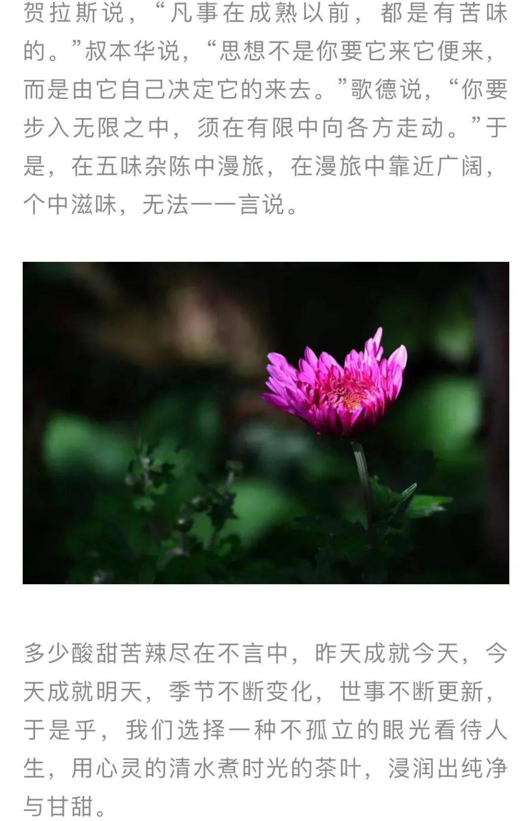 酸甜苦辣简谱_酸甜苦辣都是歌简谱