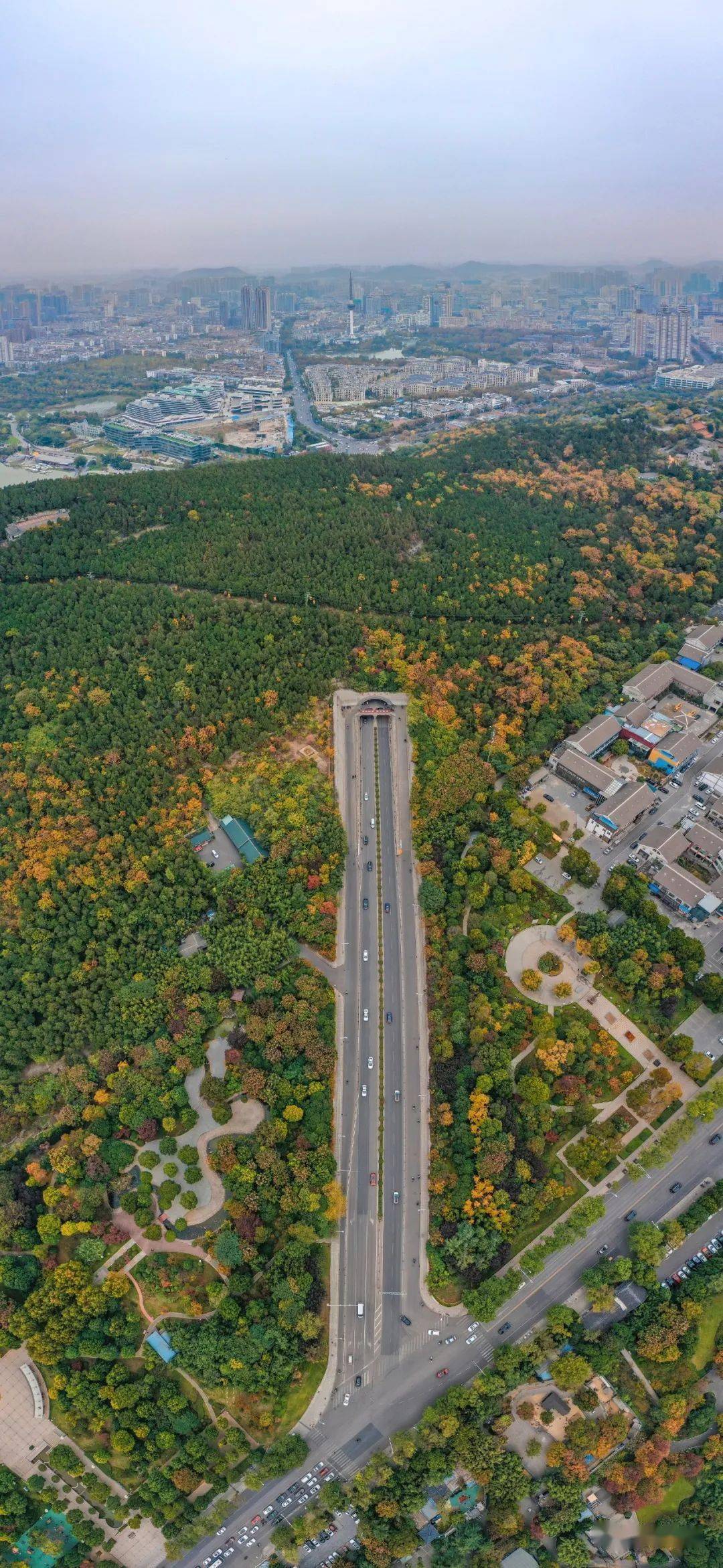 同心GDP_同心抗疫手抄报(2)