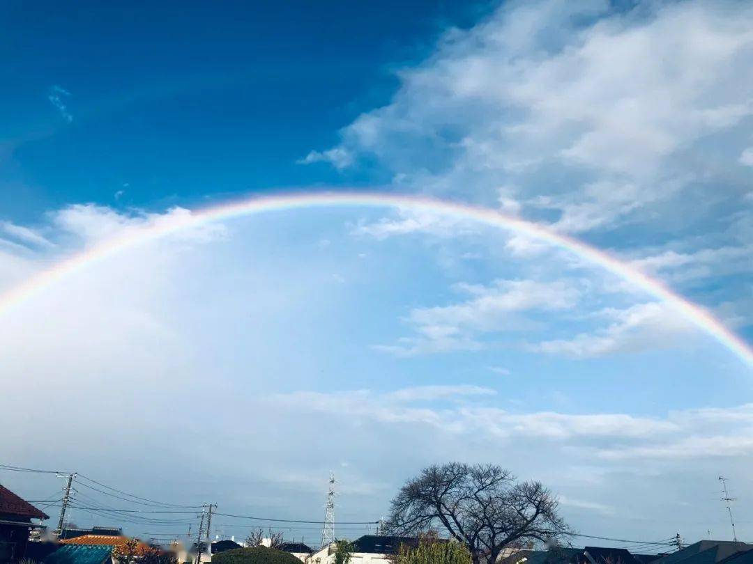 刷屏了大年初四东京上空出现了大彩虹见到者必转运啊啊啊啊啊