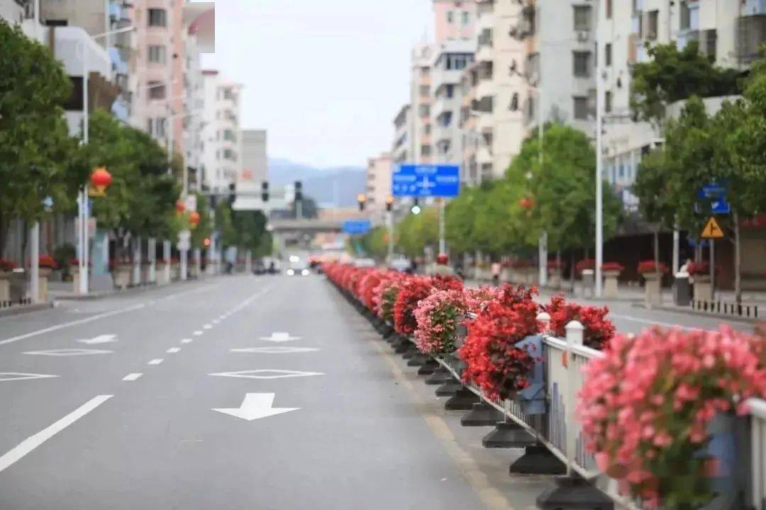 广州从化区多少人口_广州从化区规划控规图