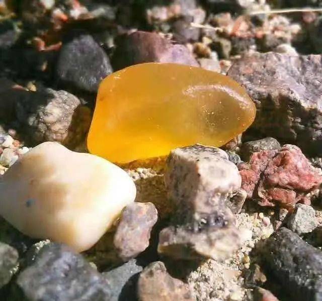 认石头捡到千万别丢