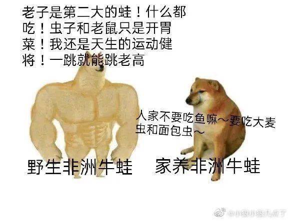 dcb126876a93490caf3b7643f1306c8e.jpeg