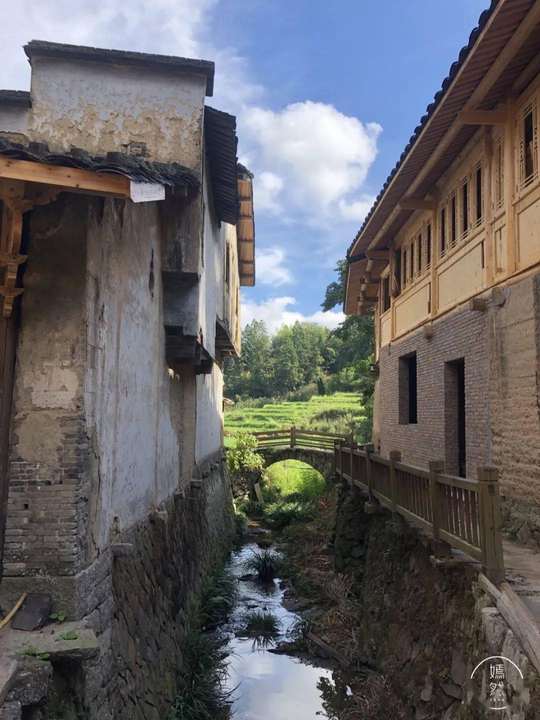 的细胞似乎每一日都和阳光花草树木鸟鸣作伴,嘴角的微笑时常上扬着,是