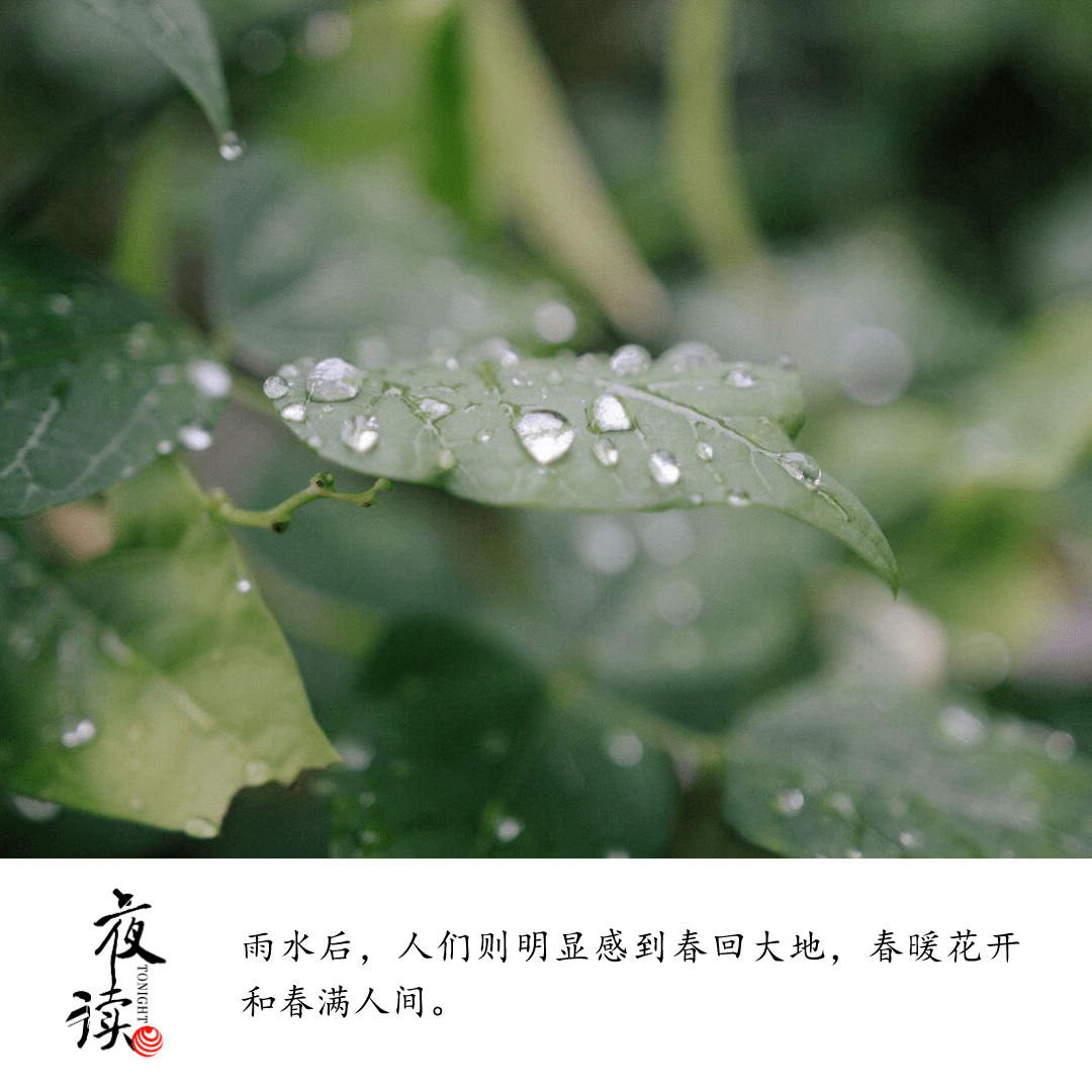 明日雨水好雨知時節當春乃發生