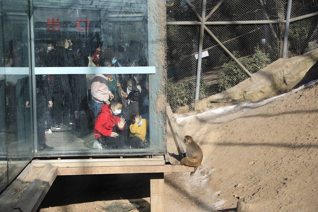 西安:探访世博园萌宠馆 动物萌态十足