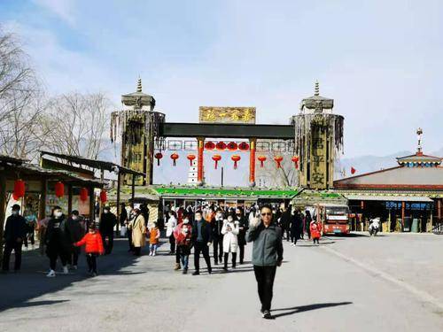 春节假期 西夏区接待游客26.84万人次