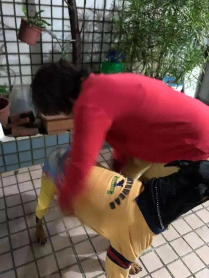 春節帶狗子去了奶奶家之後……想起了小時候的自己！！ 萌趣萌寵 第3张