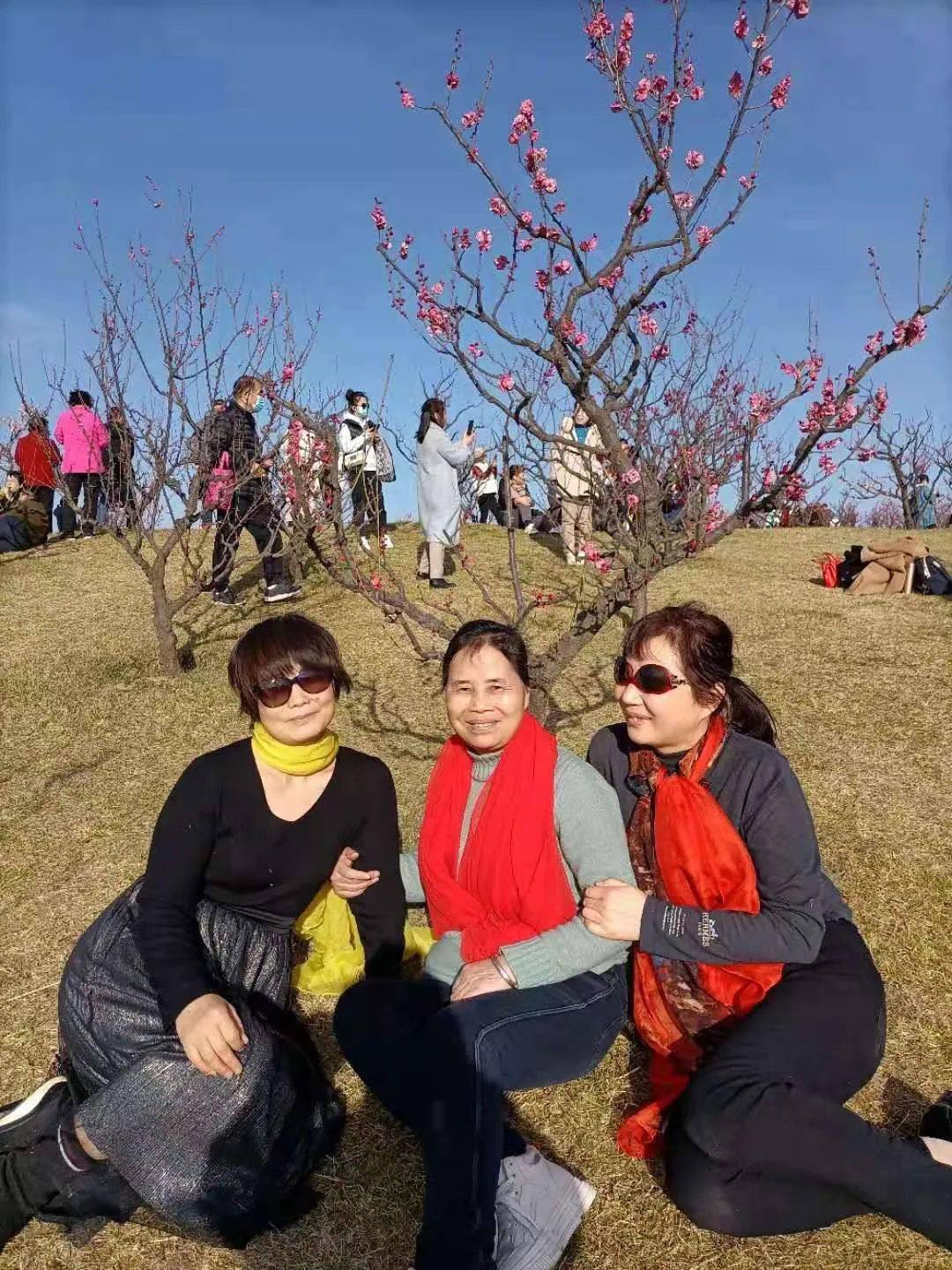 梅花艳唐村香腮美若画