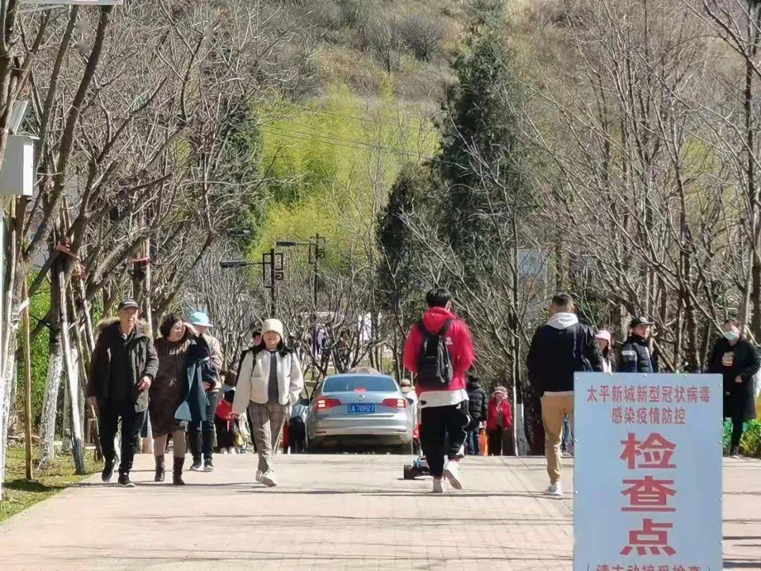日均游客超2000人次，光崀大村成为市民春节假期乡村游首选
