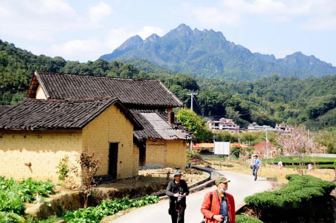 昭平鄉村美景魅力大,看看文竹的這個靚村_大塘