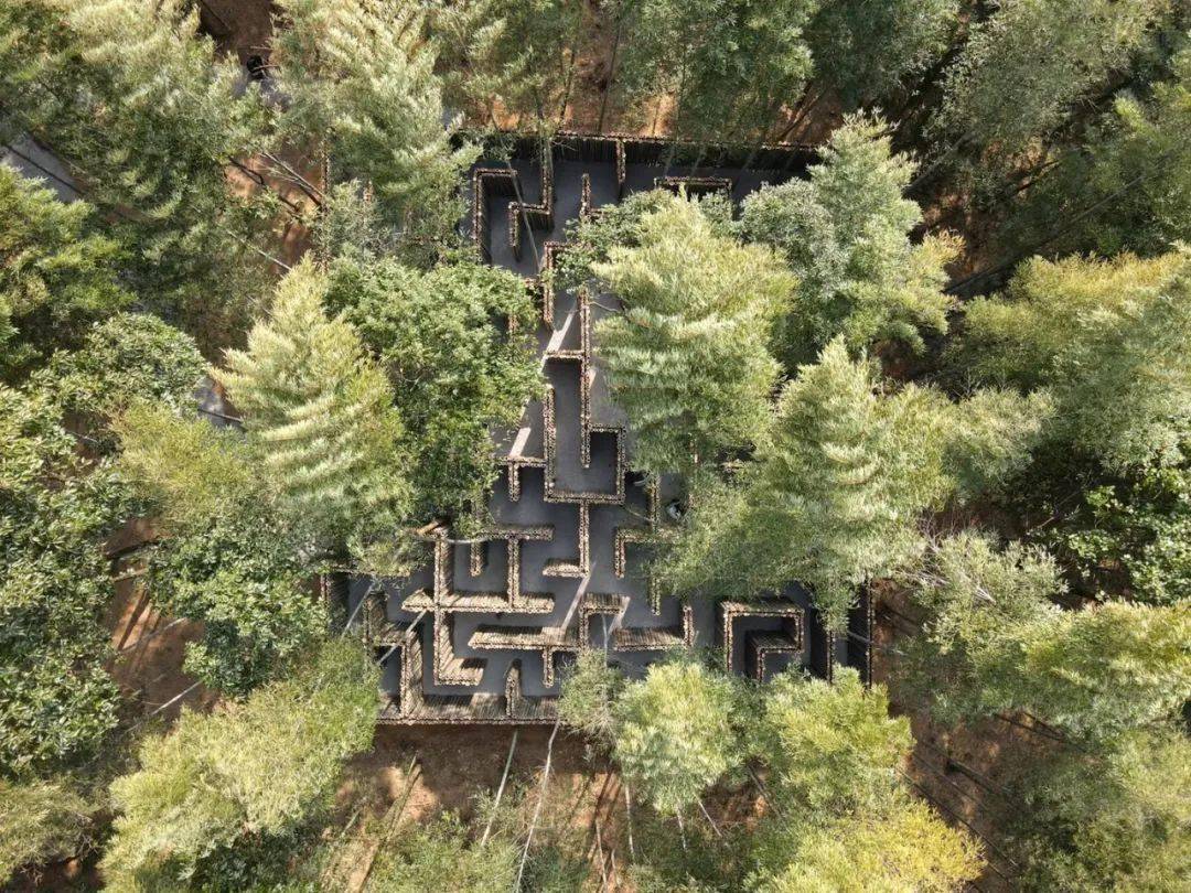 开工大吉牛年牛起