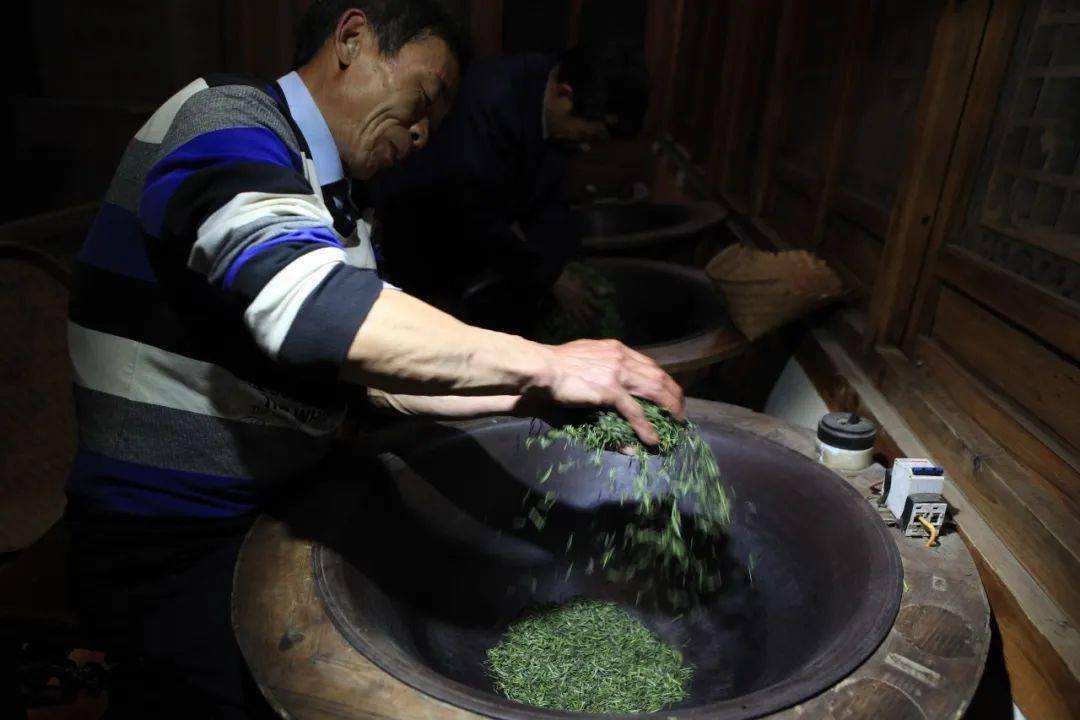 婺源绿茶最大茶厂图片