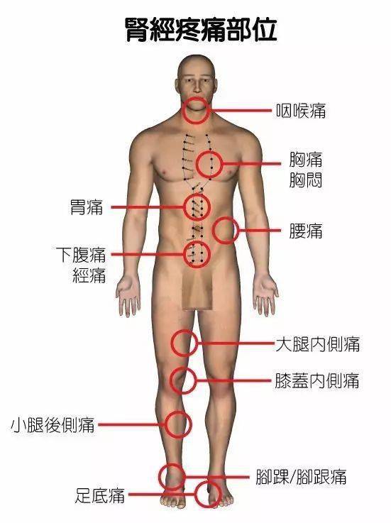 胳膊经络疼痛怎么办