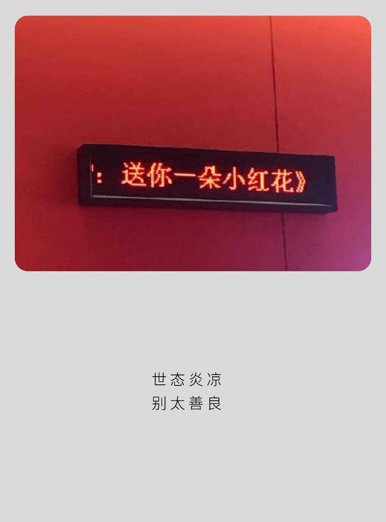 壁纸世态炎凉别太善良