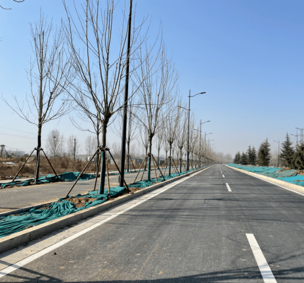 今年5月,郑州沿黄景观大道将全线通车