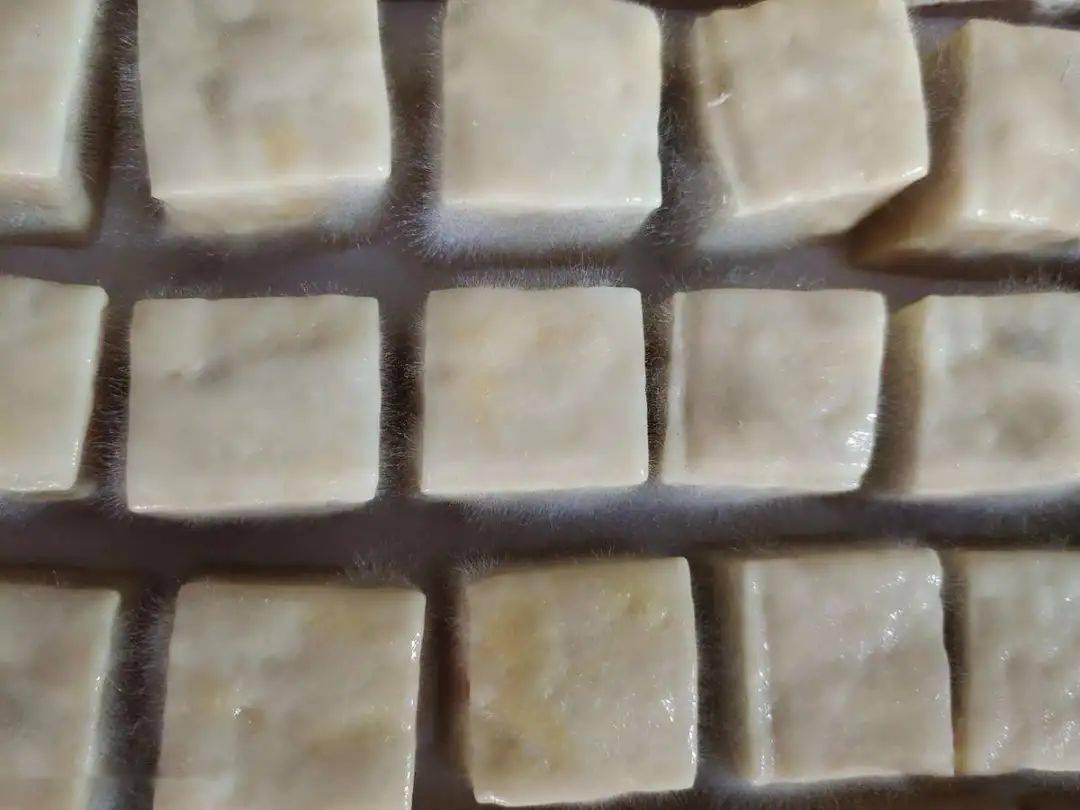 豆腐发酵后有毒的图片图片