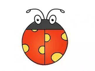 苍蝇瓢虫猜成语_七星瓢虫简笔画(3)