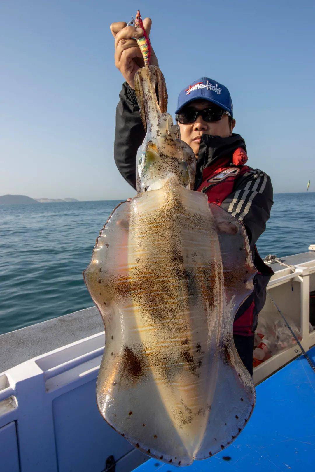 "视频后,很多船开始前往担杆,庙湾一带钓鱿鱼,而且收获都不错,不得不