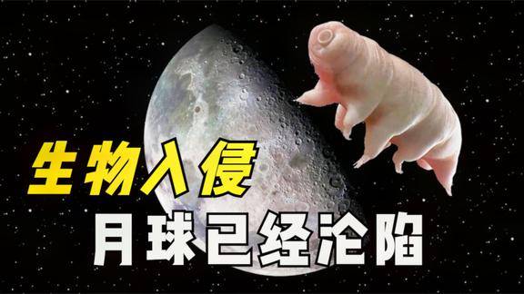 月球遭生物入侵数量成千万并且永远杀不死