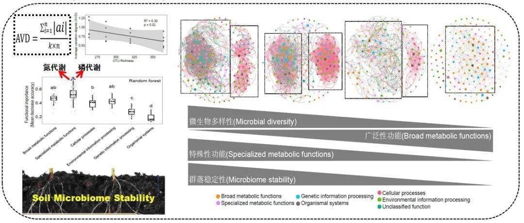 自由基的稳定性主要取决于什么 a795b7316f5848e6964688c6543c0f0e.jpeg