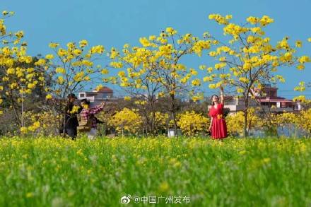 春节七天广州“迎客”1086.73万人次，旅游业收入达73.68亿元
