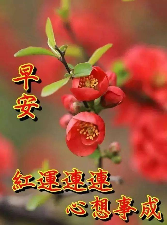 大家早上好早上好的短句子早上好问候专辑