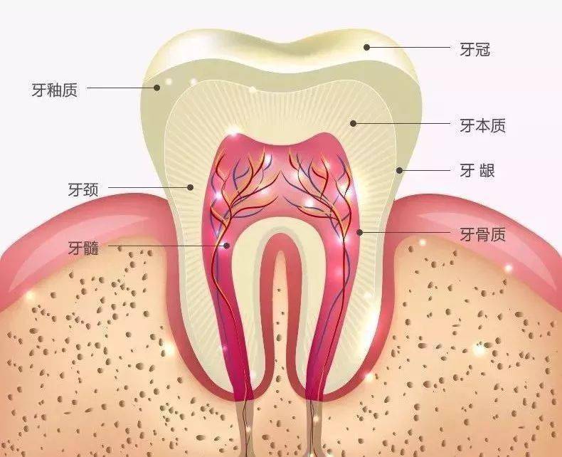 00ef28f9a5874609894a4e3625ffd463.jpeg