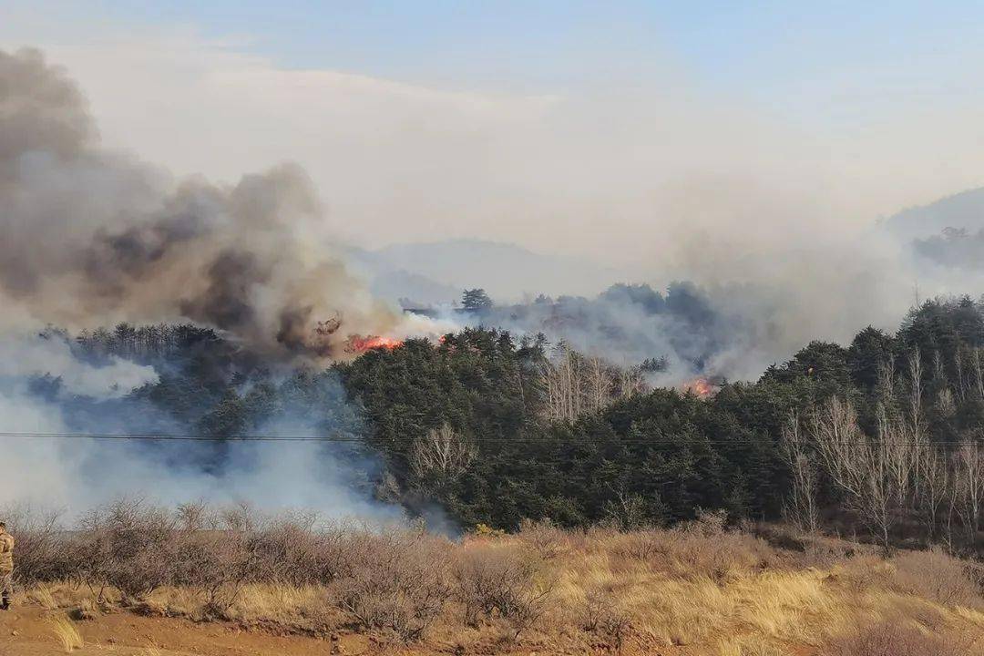 阳泉平定县发生山火,火势已经初步控制