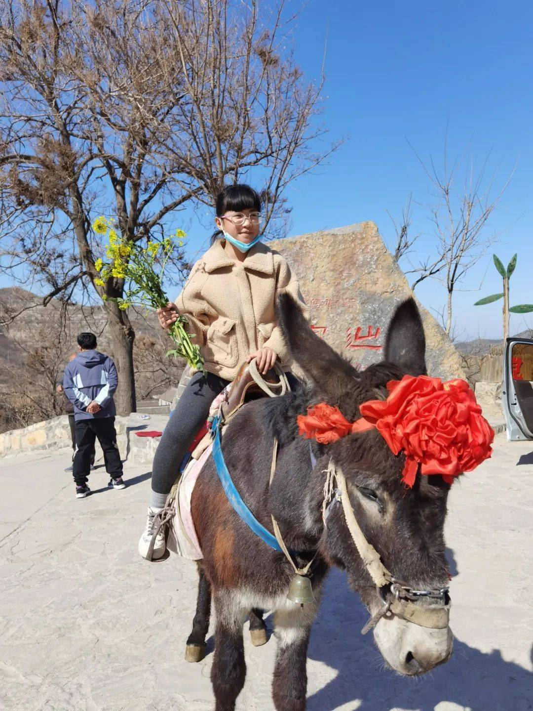 婴心工作间驴辿辿│王家辿的吉祥物正在娩出