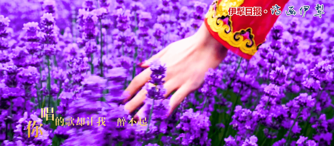 1b98fcf178694b139be8c78e0e462553.png